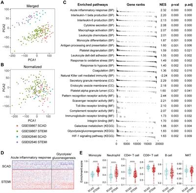 Frontiers | Integrated Whole-genome Gene Expression Analysis Reveals An ...